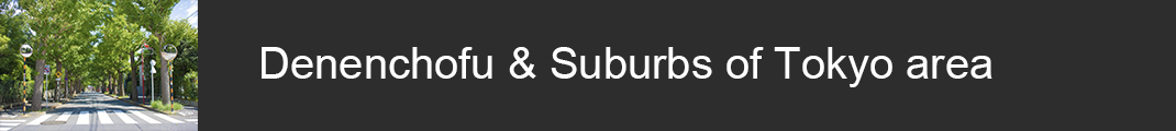 Denenchofu andSuburbs of Tokyo area
